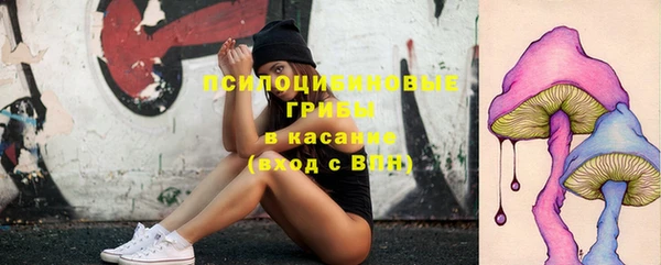 spice Козельск