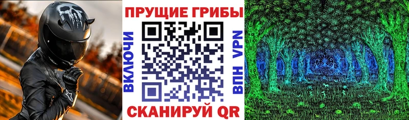 Псилоцибиновые грибы MAGIC MUSHROOMS  Купить  Чайковский 